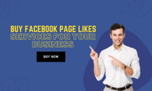 Buy Facebook Page Likes Services For Your Business